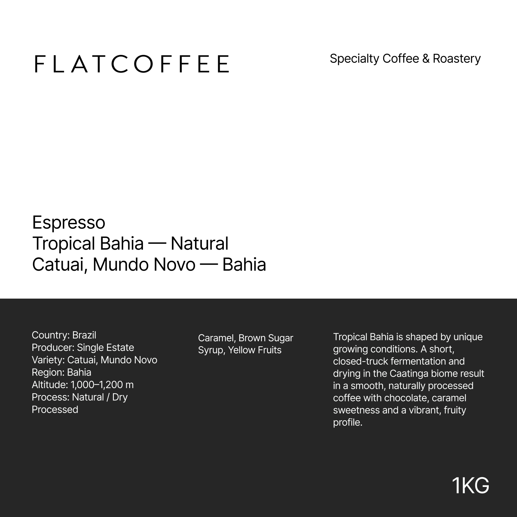 Tropical Bahia · Natural