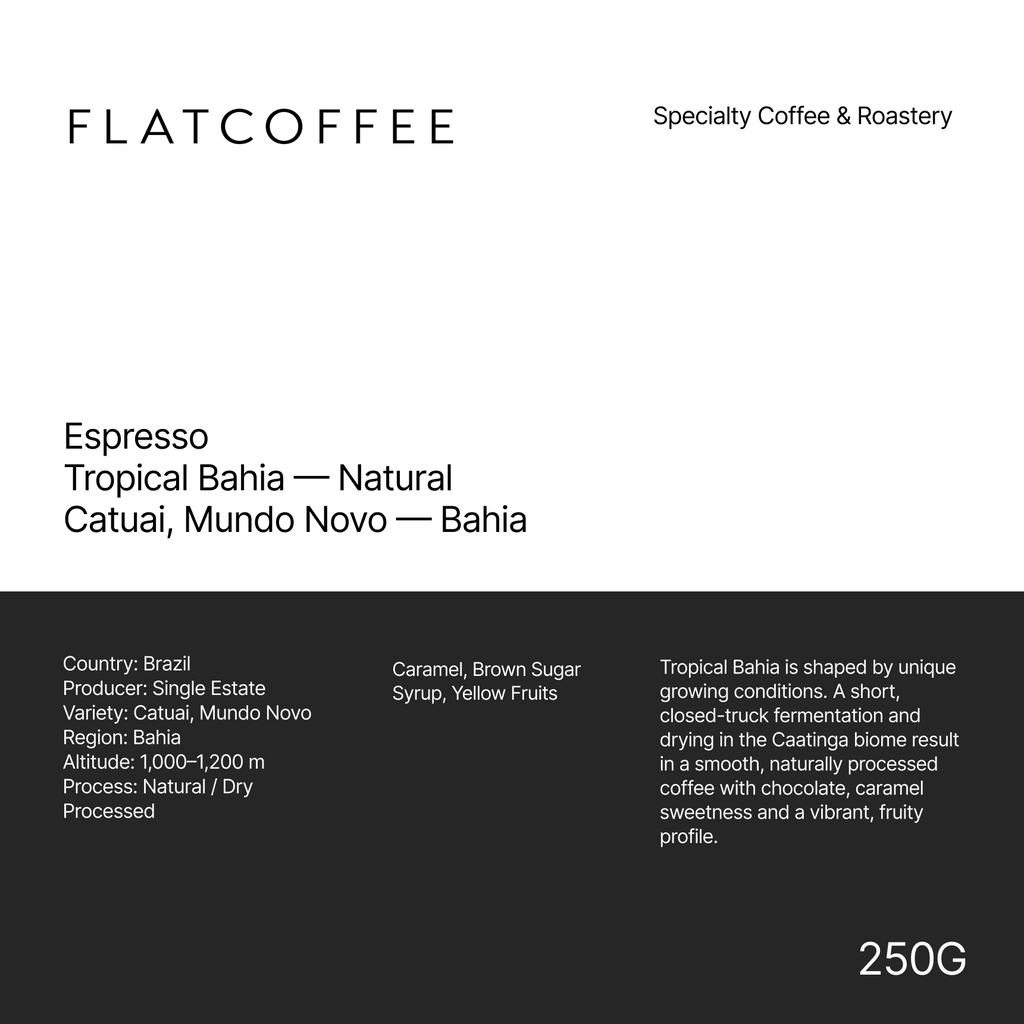 Tropical Bahia · Natural